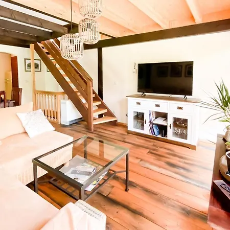 Apartman Geographer's